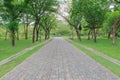 Green alley,path in the park