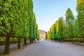 Green alley in Schonbrunn gardens Royalty Free Stock Photo