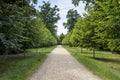 Green alley with trees in the park Royalty Free Stock Photo