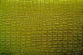 Green alligator leather background