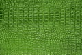 Green alligator patterned background