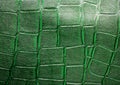 Green alligator patterned background Royalty Free Stock Photo