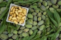 Green almonds open background fresh raw unripe wooden rustic table blurred garden background leaves, Top view copy space shell Royalty Free Stock Photo