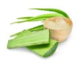 Green Aloe Vera Leaf, Tropical Herb With Gel In Wooden Bowl