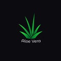 Green aloe vera plant icon