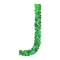 Alphabet letter. letter J. GREEN alphabet logo. Font style - vector illustration. Royalty Free Stock Photo