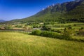 Green alpine landscape in Trento Royalty Free Stock Photo