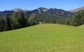 Green alpine meadow - mountain landscape Royalty Free Stock Photo