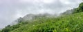 Green alpine meadow on the slopes and mountains in the fog on the horizon Royalty Free Stock Photo