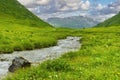 Green Alpine meadow with water stream Royalty Free Stock Photo