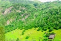 Green alpine meadows, Zillertal, Austria