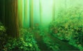 Green Amazon forest with small lonely pathway Royalty Free Stock Photo