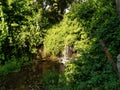 Green ambiente with Little waterfalls and water reflections Royalty Free Stock Photo