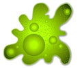 Green Amoeba Microbe Clip Art
