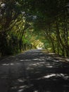 Green Anaga Mountains. Light and Shadow. Hiking on Tenerife.