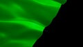 Green Anarchism flag video. National 3d Eco anarchy logo Slow Motion video. Green Anarchism Flag Blowing Close Up. Eco anarchy Fla