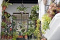 Green Andalucian Balcony Royalty Free Stock Photo