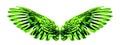 Green Angel wings an isolated on white background Royalty Free Stock Photo