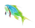 The green anthias fish, watercolor illustration isolated on white.