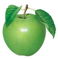 Green Apple