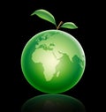 Green apple