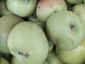 Green Apple Background, shallow depth of field