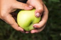Green apple in the child dirty hands Royalty Free Stock Photo
