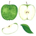 Green apple clipart set. Hand drawn watercolor illustration Royalty Free Stock Photo