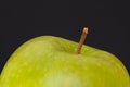 Green apple close up isolated on a black background Royalty Free Stock Photo