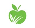 Green Apple combined with Lawncare Plant Symbol Royalty Free Stock Photo