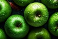 A green apple covered in water droplets. Apple background.