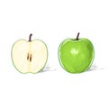 Green apple with cut half sketch draw isolated Royalty Free Stock Photo