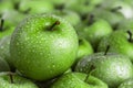 Green apple with dew drops Royalty Free Stock Photo