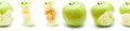 Green apple eating progression Royalty Free Stock Photo