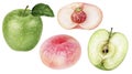 Green apple flat donut peach watercolor illustration isolated on white background Royalty Free Stock Photo
