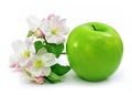 Green apple fruit isolated with pink flowers Royalty Free Stock Photo