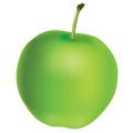 Realistic green apple - graphic vector