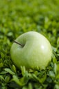 Green apple on grass Royalty Free Stock Photo