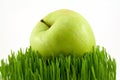 Green apple on grass Royalty Free Stock Photo