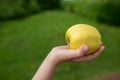 A green apple in a hand reaching out