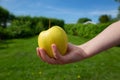 A green apple in a hand reaching out