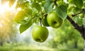 Green apple-laden tree focal point, lush garden