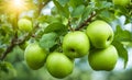 Green apple-laden tree focal point, lush garden