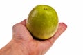 Green apple laying on white male hand.