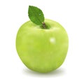 Green apple with leaf isolated on a white background 3d realistic illustration high detail. Vector Royalty Free Stock Photo