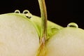 Green apple macro Royalty Free Stock Photo