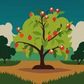 Green apple orchard with harvest as summer landscape. Vector illustration 10 eps Royalty Free Stock Photo