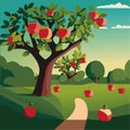 Green apple orchard with harvest as summer landscape. Vector illustration 10 eps Royalty Free Stock Photo
