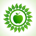 Green apple organic food with leaf