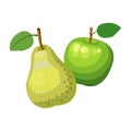 Green Apple and pear , vector on white background